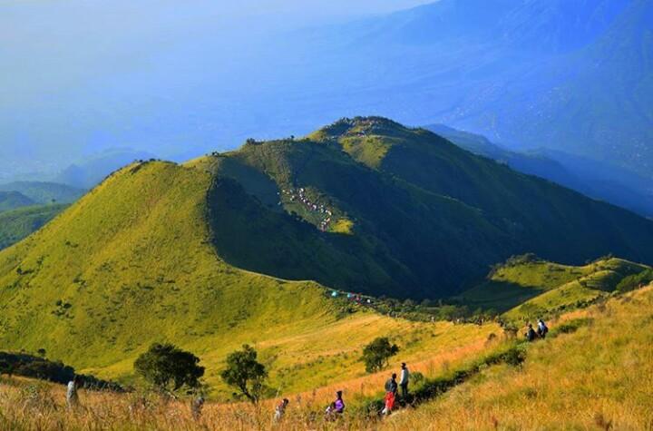 Sabana Merbabu, Favorit Para Pendaki 
