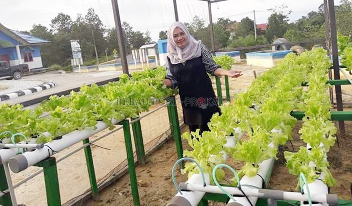 Maksimalkan Pekarangan Rumah, PKK Ajak Warga Menanam Cabai dan Sayuran 