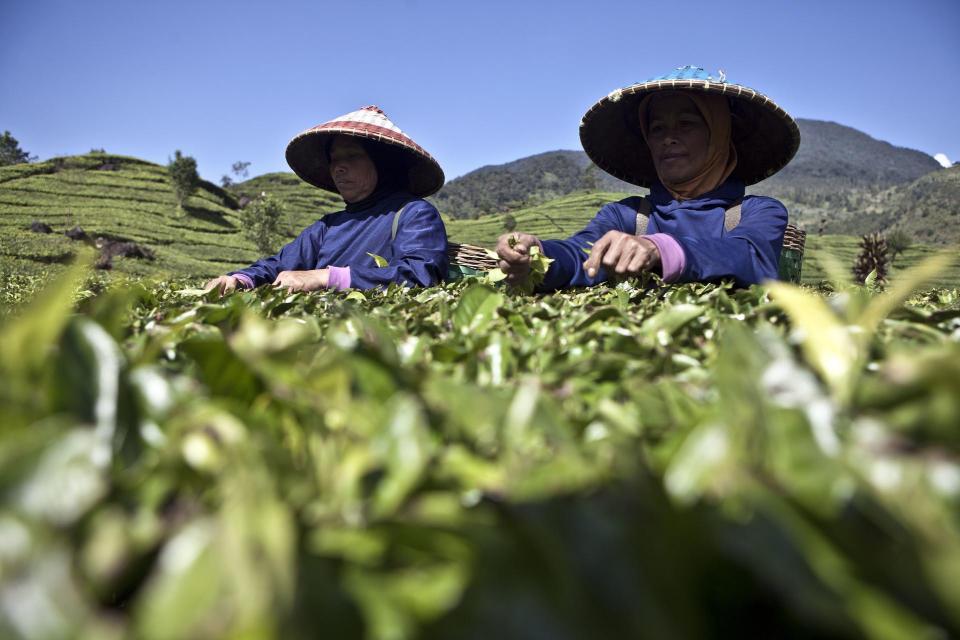 Masyarakat Pedesaan Didorong Fokus Pengembangan Komoditas Unggulan 