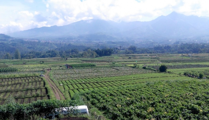 Kementan Uji Coba Teknologi Tata Kelola Air