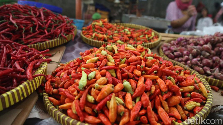 Puasa dan lebaran terancam kekurangan pasokan cabai