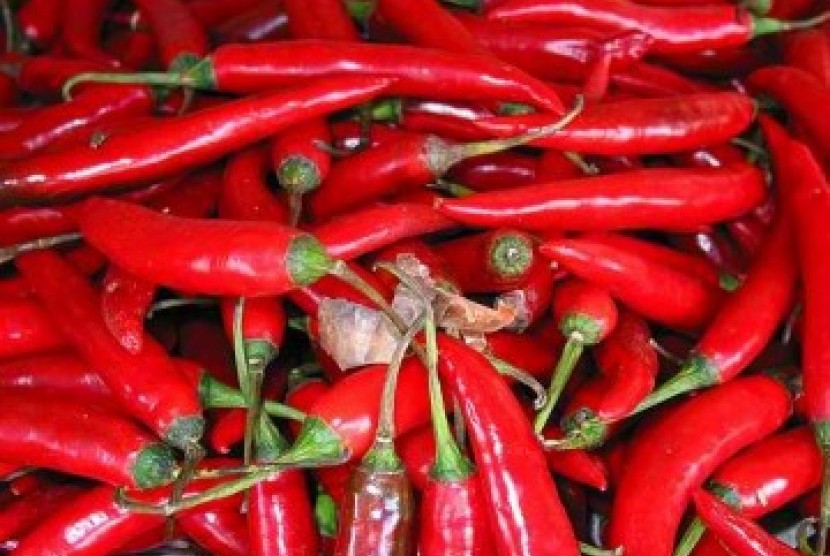 Ini Kunci Sukses Petani Cabai Banyuwangi Raup Ratusan Juta 