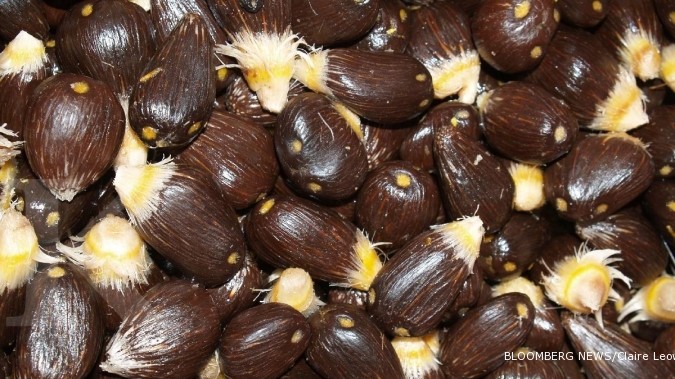 Limbah sawit akan dimanfaatkan untuk pakan