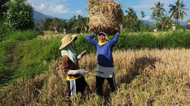 Pemerintah Siapkan Dana Khusus Angkat Pendapatan Petani Perempuan