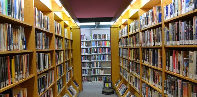 Dana Desa Bisa Digunakan Bangun Perpustakaan