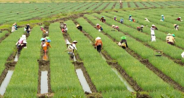 Proteksi Petani, Ini Langkah Legislator Tawarkan Solusi ke Pemerintah