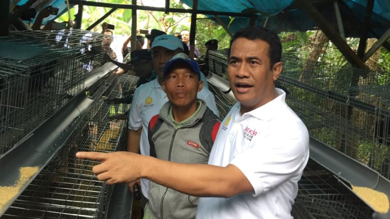 Mentan: Ada Bantuan Ayam Ternak, Warga Miskin Dapat Rp 50.000/Hari