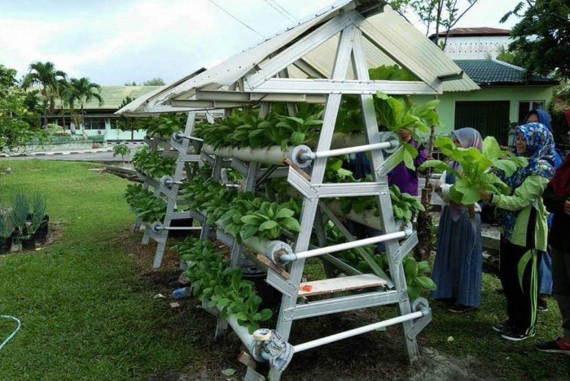 Hidroponik, Solusi Pertanian Lahan Sempit