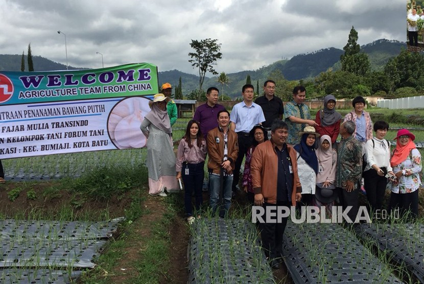 Tidak Tanam Bawang Putih, Importir tak Dapat RIPH