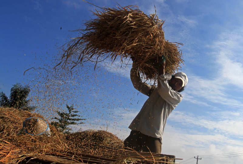 Jumlah keluarga petani cenderung menurun