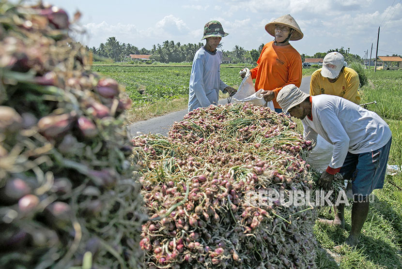 Program Bantuan untuk Petani Dinilai tak Efektif