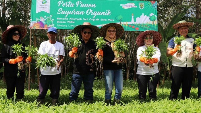 Pesta Panen Sayuran Organik YABN Wujudkan Pertanian Ramah Lingkungan 