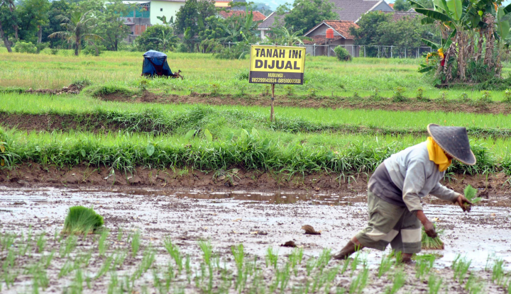 Konsep Pertanian Digital Mulai Dirintis