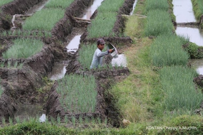 Sektor pertanian kekurangan tenaga kerja muda