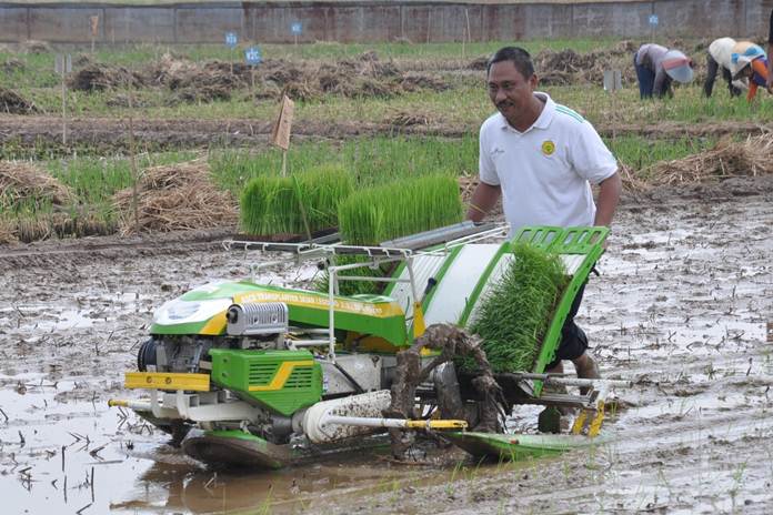 Warga Malaka Terapkan Pola Pertanian Modern, Ini Alasannya