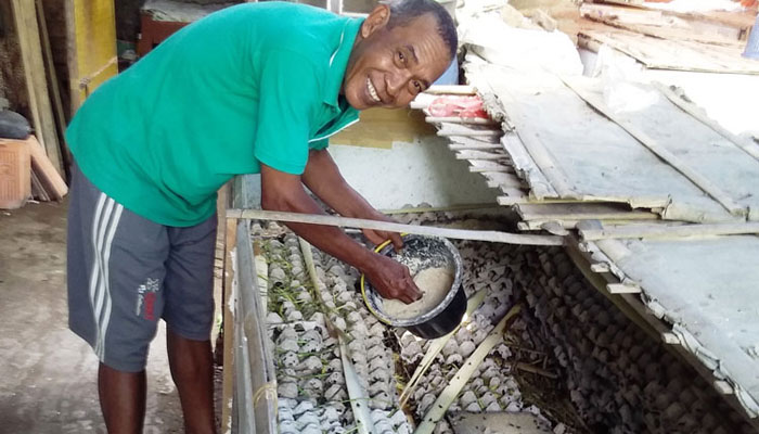 Peternak Jangkrik Butuh Bapak Angkat