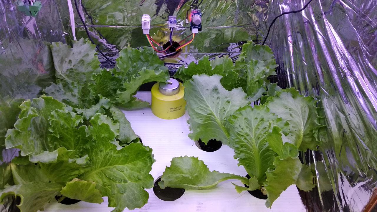 Mahasiswa ITB Ciptakan Autogrow, Alat Pengatur Iklim untuk Bantu Petani