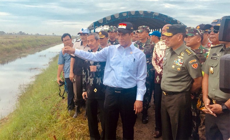Harga Beras Turun Petani Tetap Untung