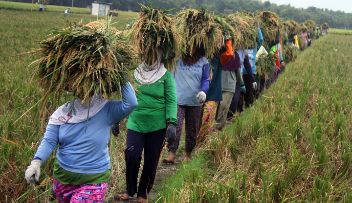 KPK dan Istana Soroti Korupsi Sektor Pertanian