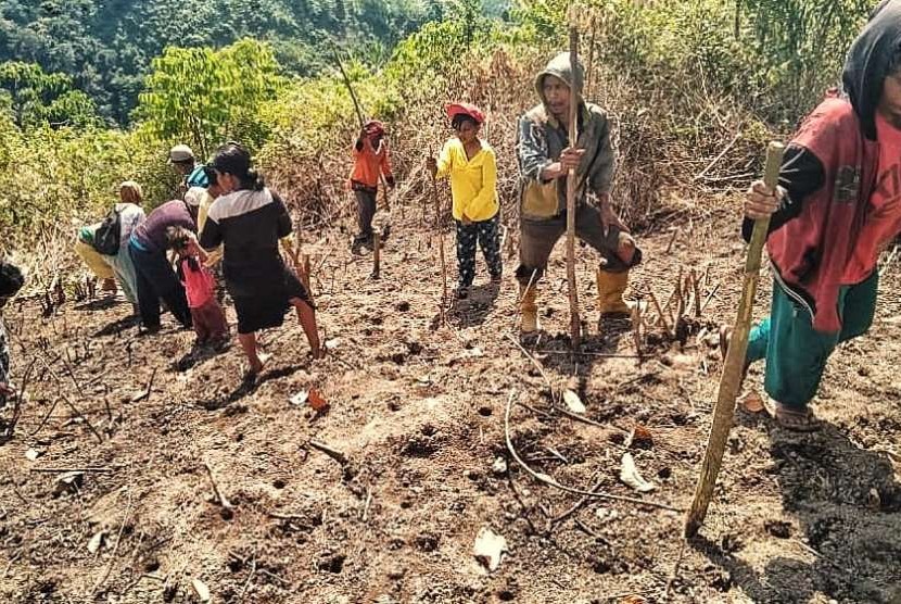 Kementan Optimistis Produksi Padi di Musim Kering Terjaga