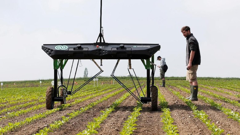 Menyambut Masa Depan Pertanian