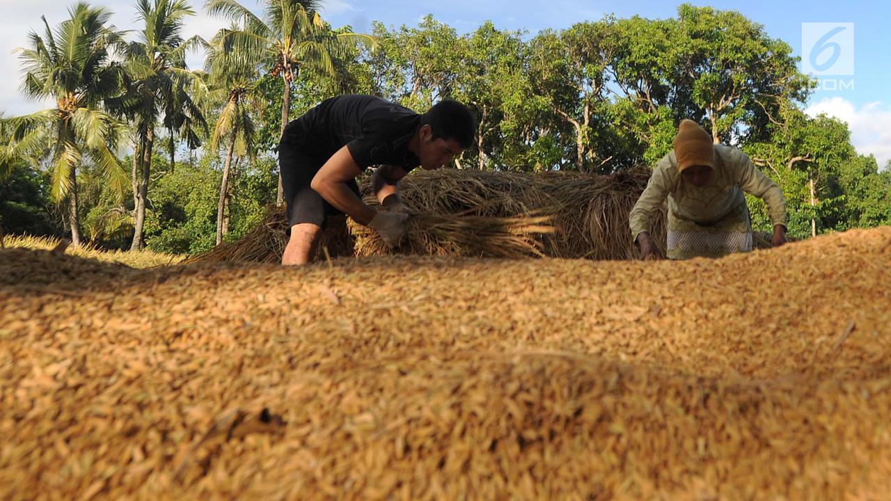 Koperasi Bakal Tingkatkan Akses Layanan Keuangan bagi Petani