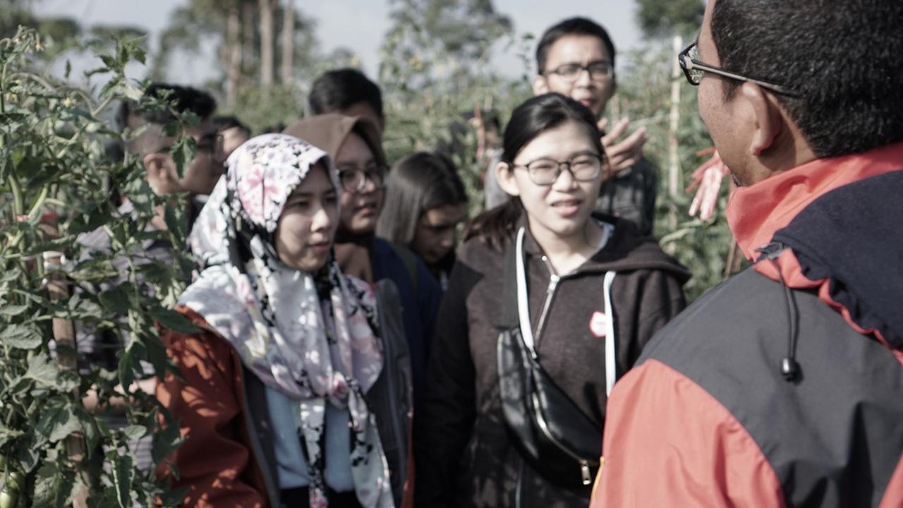 Aplikasi Crowde, Saatnya Petani Bertemu Investor