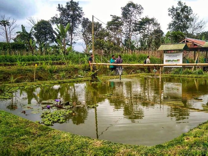 Bioindustri Tingkatkan Efisiensi untuk Kemandirian Ekonomi Petani