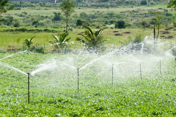 Jenis Irigasi Pertanian yang Perlu Anda Ketahui