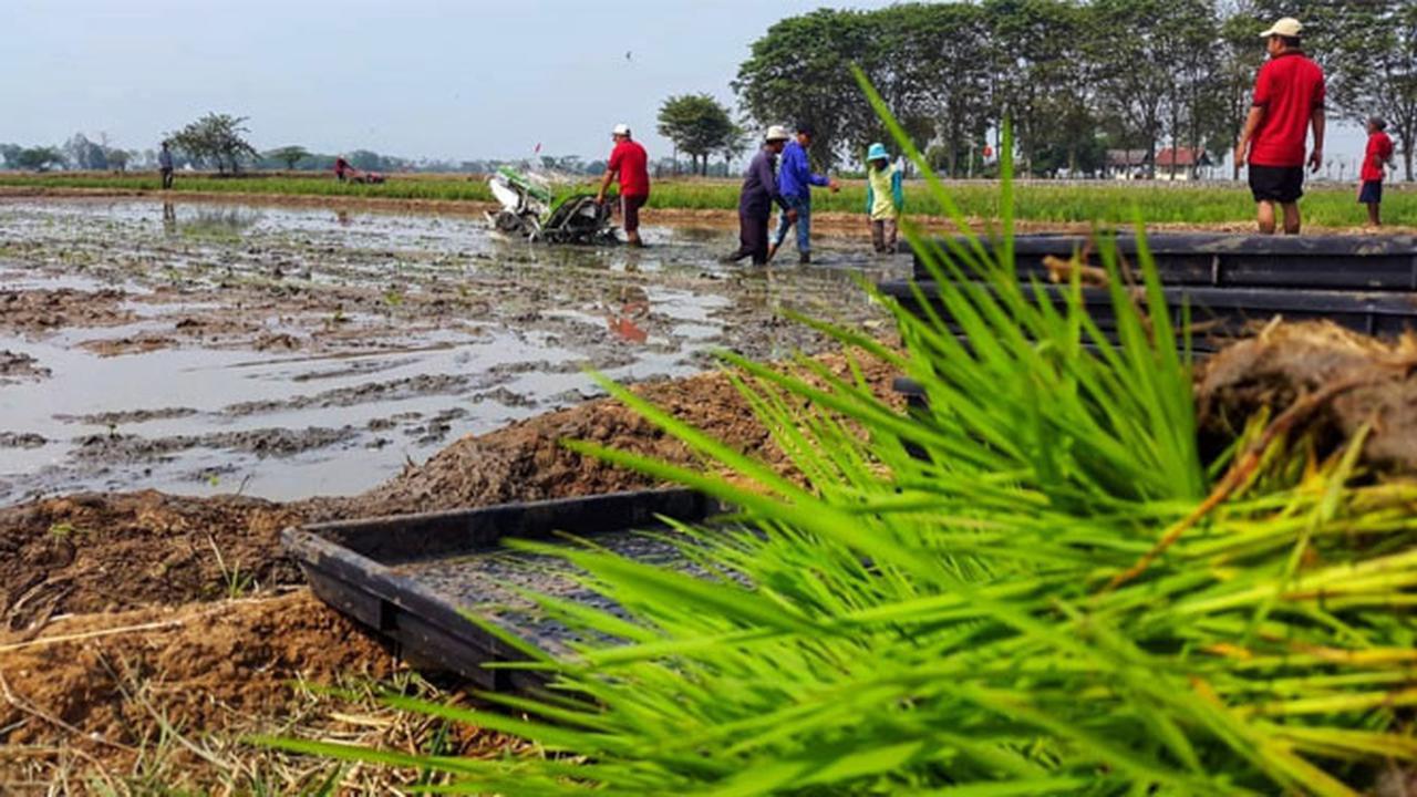 Perkuat Kelembagaan Ekonomi Petani Kementan Bangun Pertanian Modern Berbasis Korporasi di Karawang