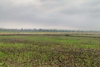 El Nino Sebabkan Musim Hujan Mundur