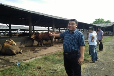 Geliat Teknologi Digital di Bisnis Peternakan