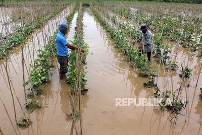 IPB Minta Indonesia Ubah Strategi Swasembada Pangan