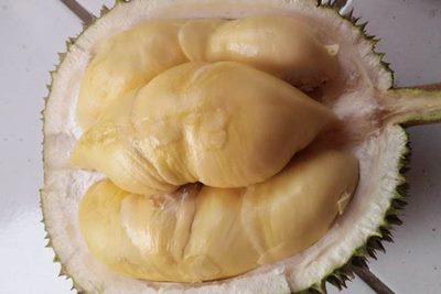 Menang Kontes, Durian Boyo Pekalongan Siap Gebrak Pasar Nasional
