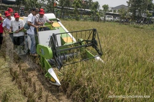 Guru Besar IPB: Anggaran pertanian yang besar menggiurkan untuk dikorupsi