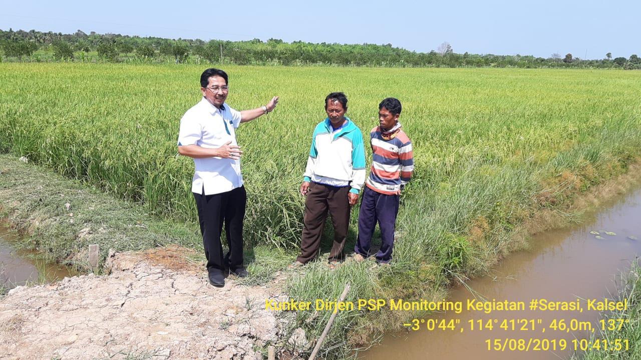 Petani Lamtim Maksimalkan Irigasi Saat Musim Kemarau