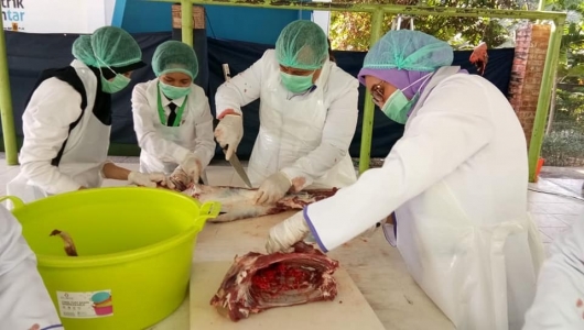  Kementan Atur Pelaksanaan Kurban di Tengah Pandemi