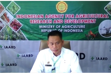  Inovasi Balitbangtan untuk Tingkatkan Produktivitas dan Ekspor Jeruk Lokal 