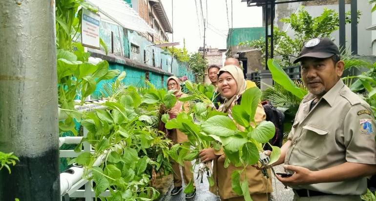 Program Gang Hijau Terbukti Dongkrak Ketahanan Pangan Masyarakat DKI Jakarta