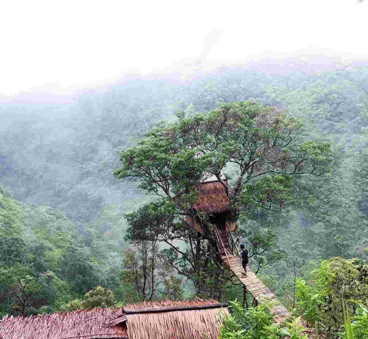 Nikmati Wisata Alam Tempur yang Memikat