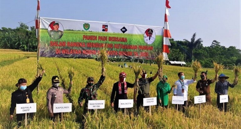 Bima Arya Panen Padi di Surga yang Tersisa