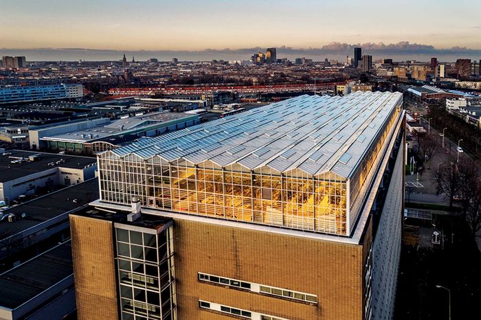 Lumbung Pangan Dunia