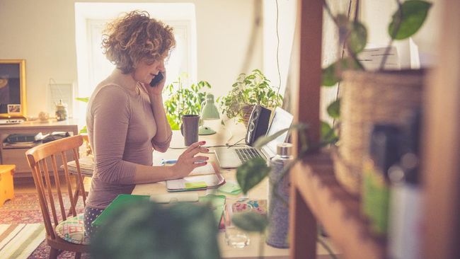 Alasan Tanaman Hias Penting untuk Apartemen Anda