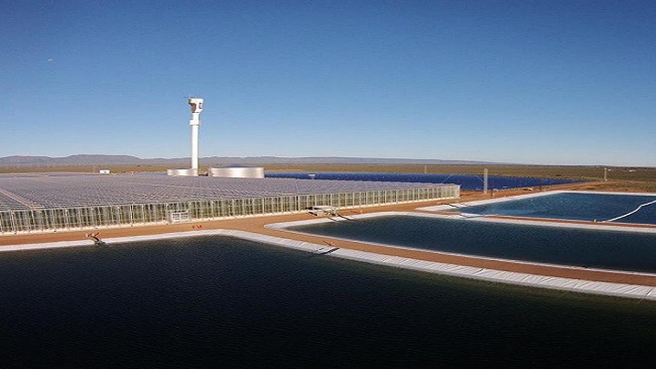 Trik Petani Australia Bercocok Tanam di Tanah Gersang