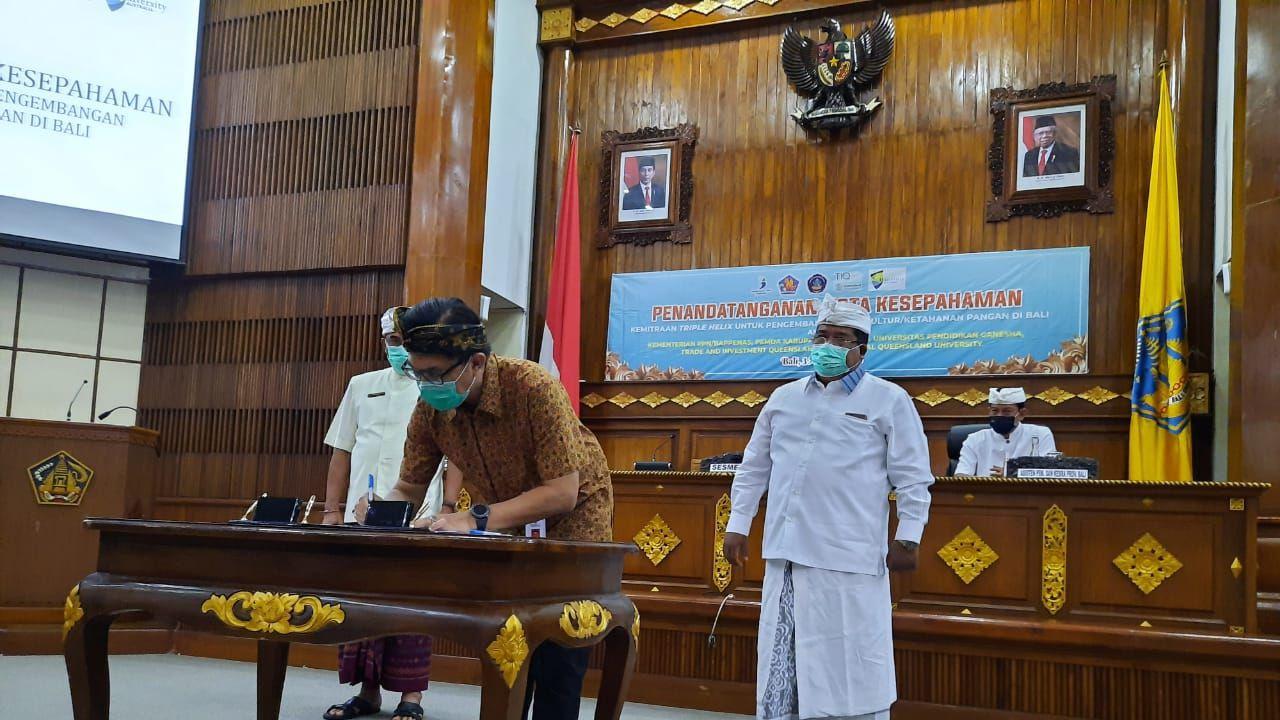 Kementan Percepat Pengembangan Sapi Bali dengan Metode Triple Helix