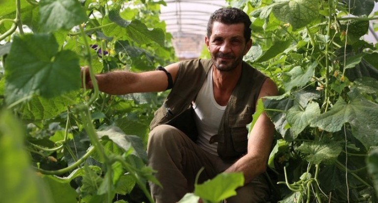 Petani Lebanon Tetap Bertahan dan Berproduksi di Tengah Konflik