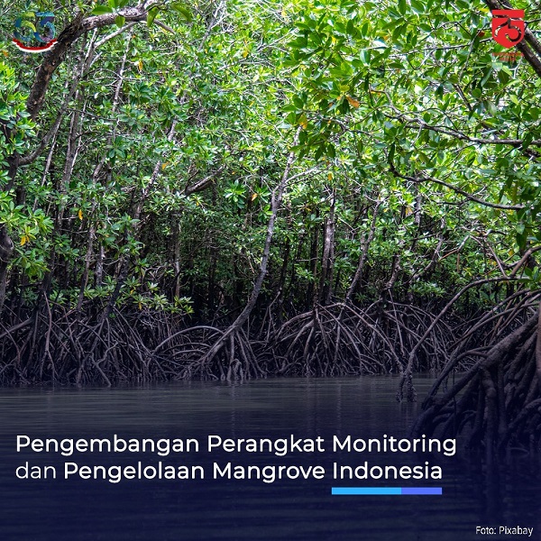 Pengembangan Perangkat Monitoring dan Pengelolaan Ekosistem Mangrove Indonesia