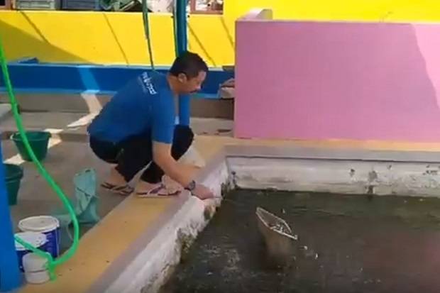 Budidaya Ikan Banyak Digandrungi di Masa Pandemi