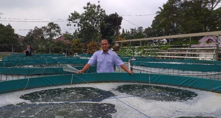 Produktivitas Tinggi, Budidaya Sistem Bioflok Jadi Primadona Masyarakat