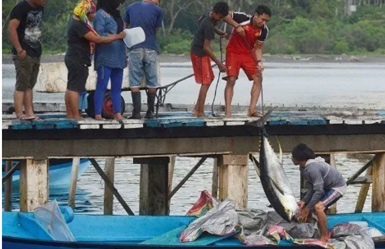 Kembangkan Usaha Perikanan, BUMDes Desa Loleo Bisa Ekspor Ikan Tuna ke Jepang